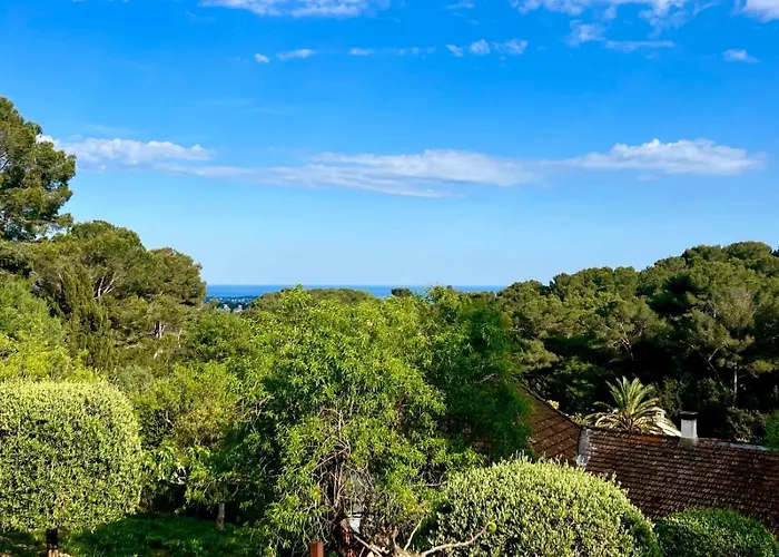 L'azur Provencal Vallauris